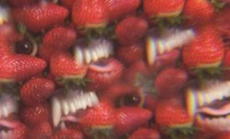 ohsees2.jpg