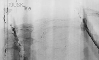 pjusk-tele.jpg