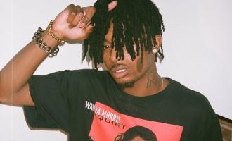 playboicarti-liluzivert-mixtape.jpg