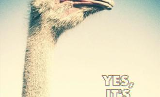 polyphonic-spree-yes-its-true-e1361985201889.jpg