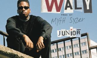 prince_waly_junior.jpg
