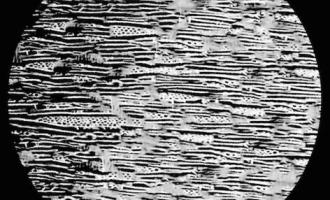 rptch05-stave.jpg
