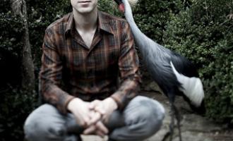 shearwater_03.jpg
