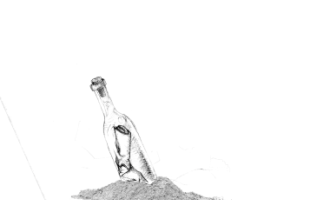 social-experiment-surf.png