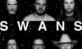 swans.jpg