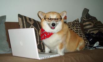 tumblr_me9yusl33d1rrgr1no1_1280.jpg