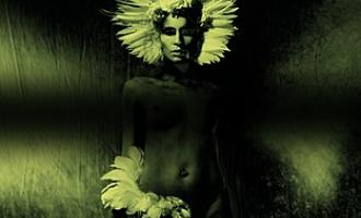 unkle-where-did-the-night-fall-another-night-out-110851048.jpg