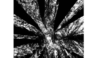 untitled_01.png