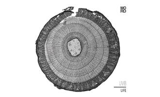 uvb-lp-mord-oct-15.jpg