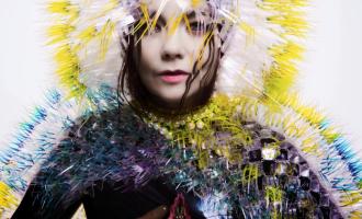 vulnicura.jpg