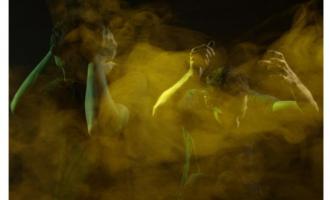 walls_2011_web_creditrobert_bellamy.jpg